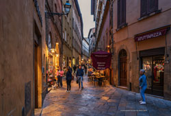  volterra